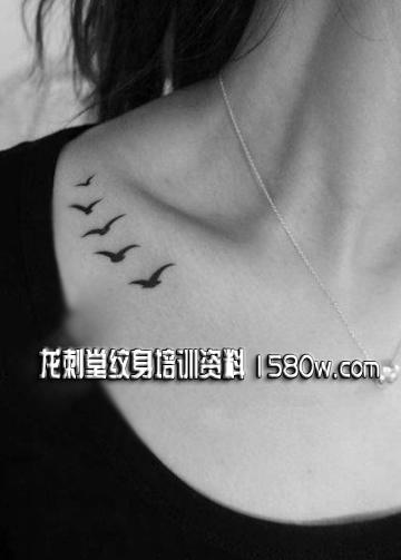 ����С������������