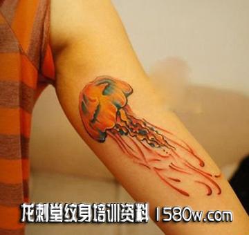 Ư����ˮĸ����ͼ��