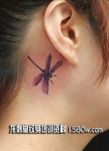 ����С������������ͼ��