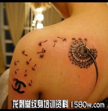 С�������ζ������ѹ�Ӣ