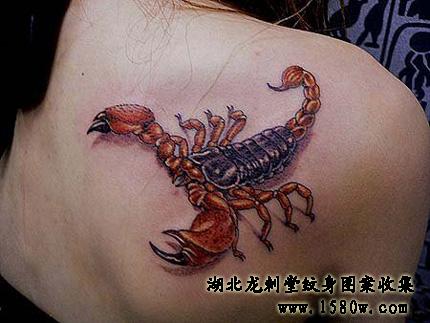 ����Ы������ͼ��