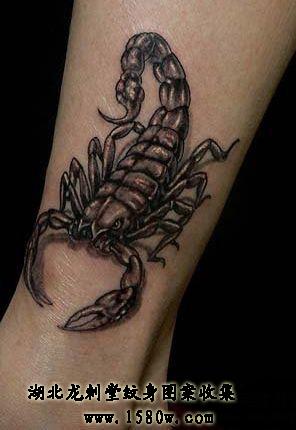 �Ų�Ы������ͼ