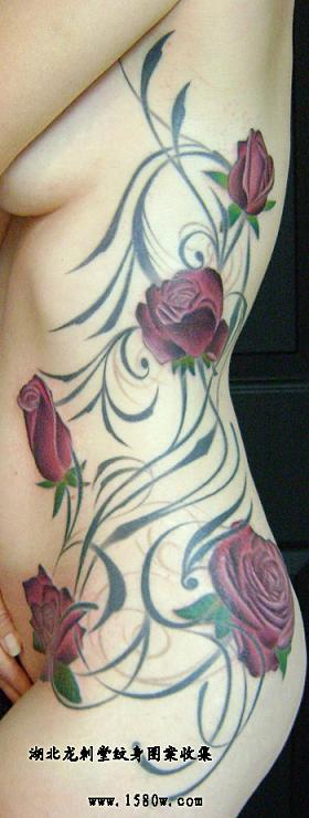 ����õ��������������