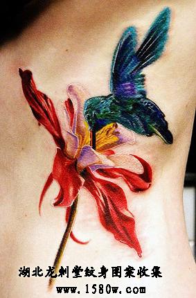 ����������������