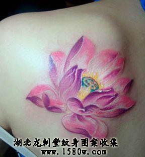 ��ɫ�ɻ�����ͼƬ