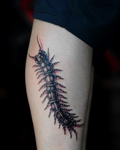 �����������ͼ��