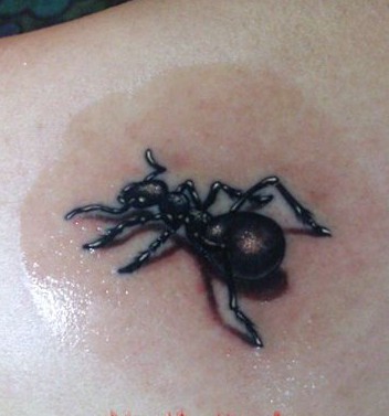 ������������3D����ͼ��