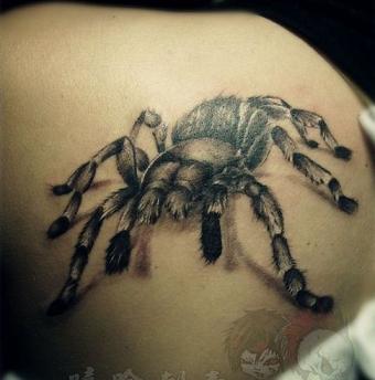 ����֩������ͼ��&nbsp;3D����